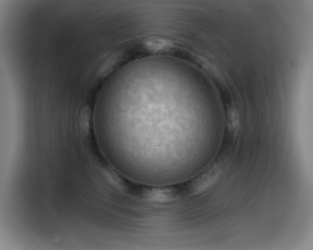 X0000114430664200910161336