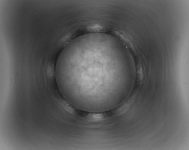 X0000114430665200910161336