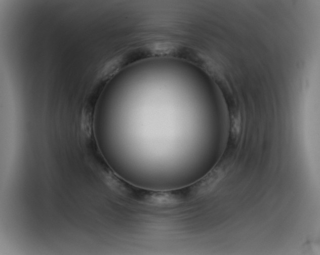 X0000114430666200910161336