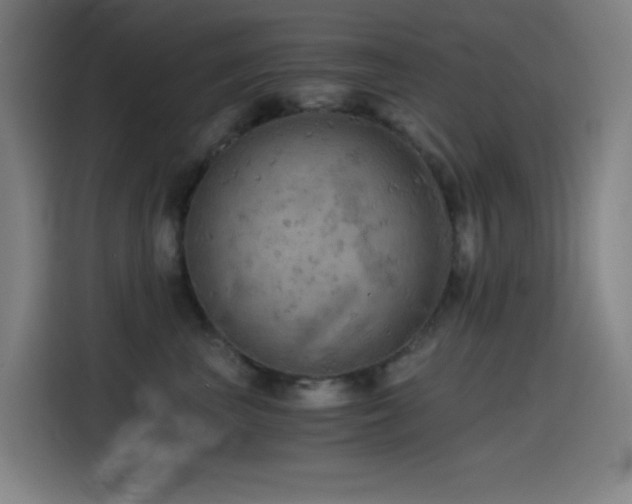 X0000114430667200910161336