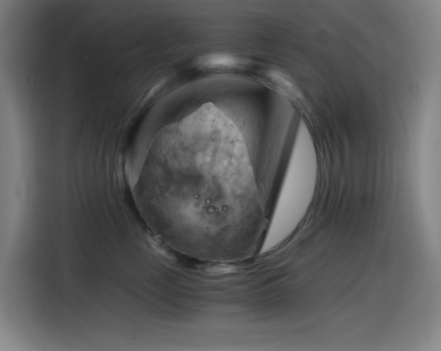 X0000114430669200910161336