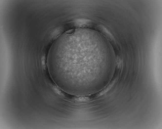 X0000114430670200910161336
