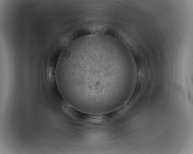 X0000114430671200910161336
