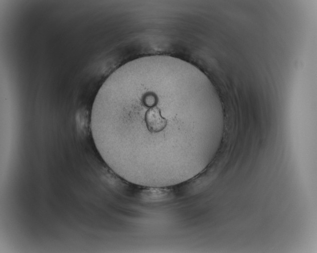 X0000114430672200910161336