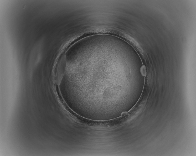 X0000114430673200910161336