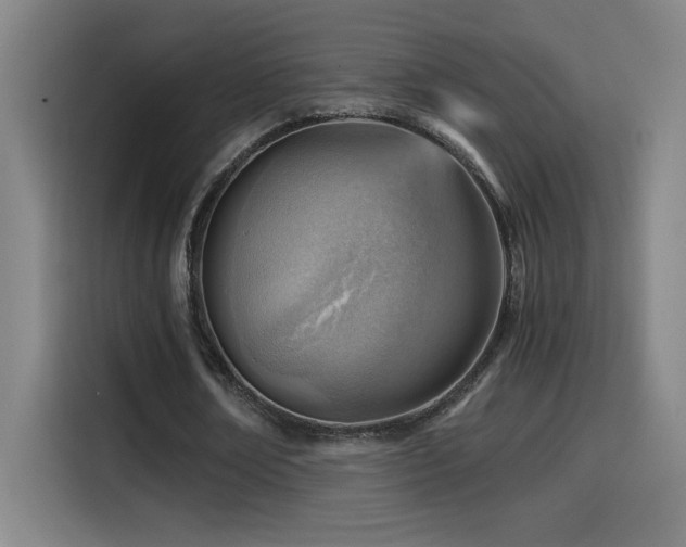 X0000114430674200910161336
