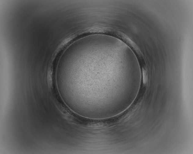 X0000114430675200910161336