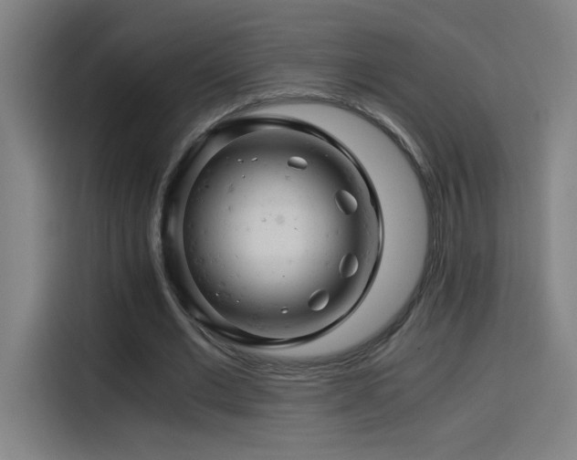 X0000114430677200910161335
