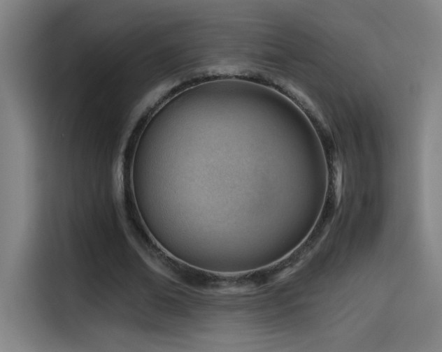 X0000114430678200910161335