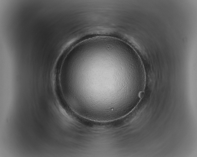 X0000114430679200910161335