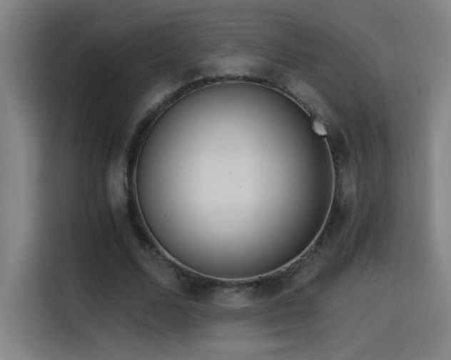 X0000114430680200910161335