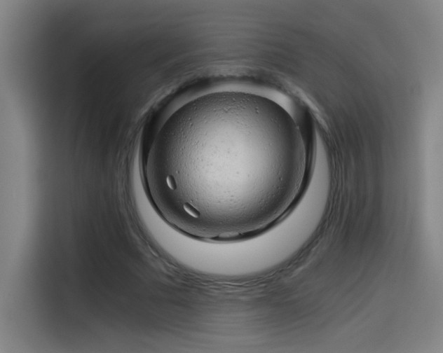 X0000114430681200910161335