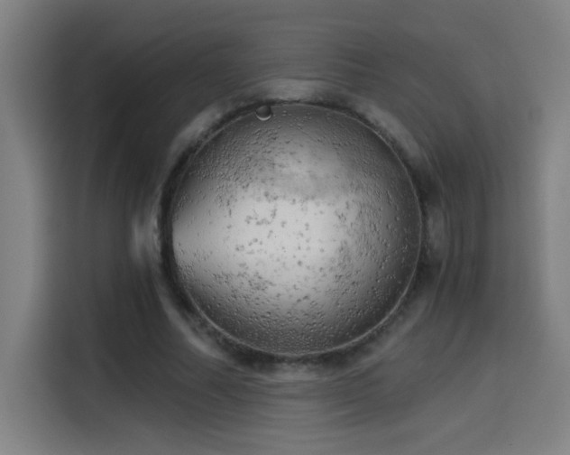 X0000114430682200910161335