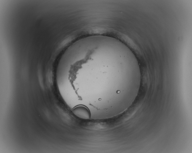 X0000114430683200910161335