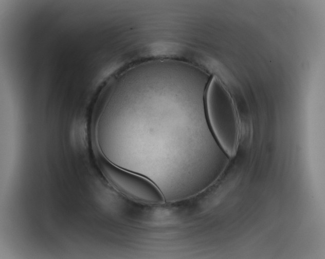 X0000114430684200910161335