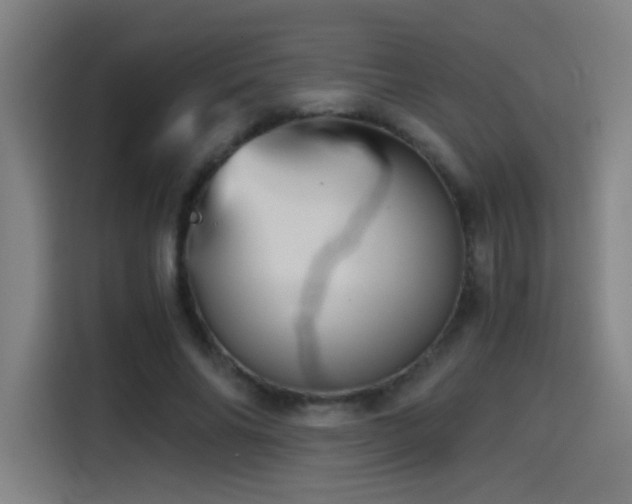 X0000114430686200910161335