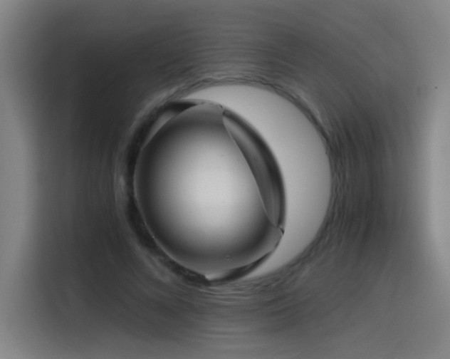 X0000114430688200910161335