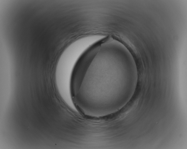 X0000114430689200910161335