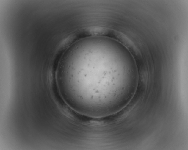 X0000114430690200910161335