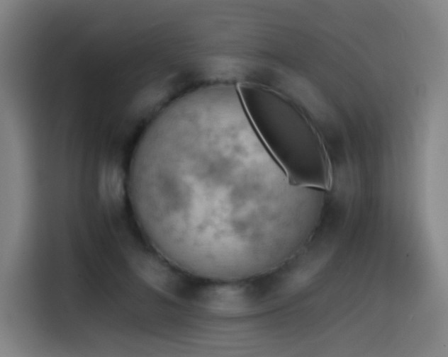 X0000114430692200910161335