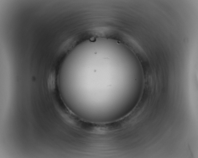 X0000114430694200910161335