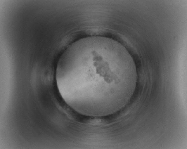 X0000114430695200910161335