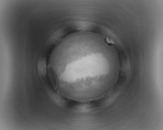 X0000114430696200910161335
