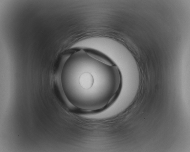 X0000114430697200910161335