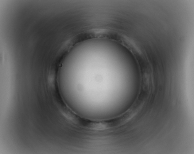 X0000114430698200910161335
