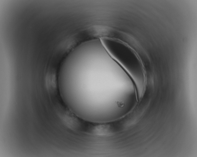 X0000114430700200910161335