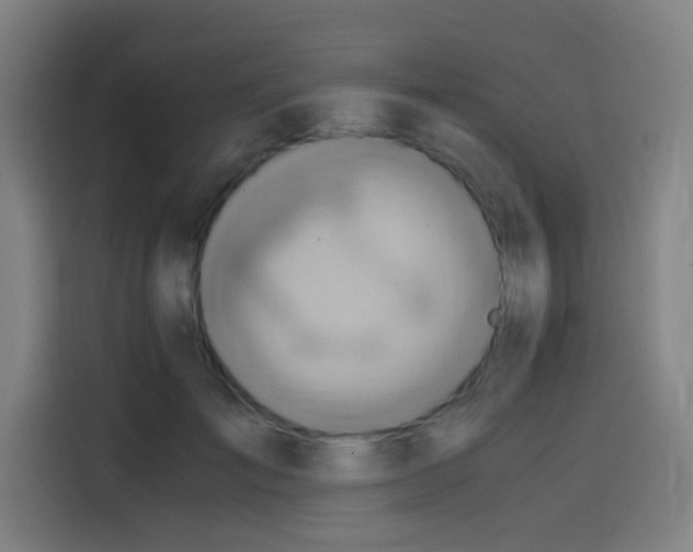 X0000114430701200910161335