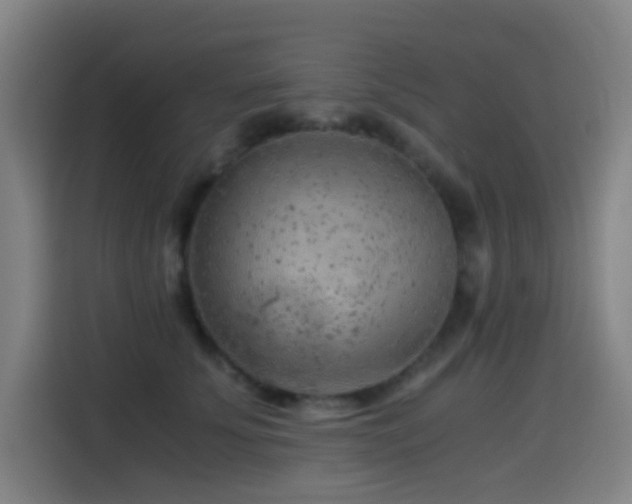 X0000114430707200910161335