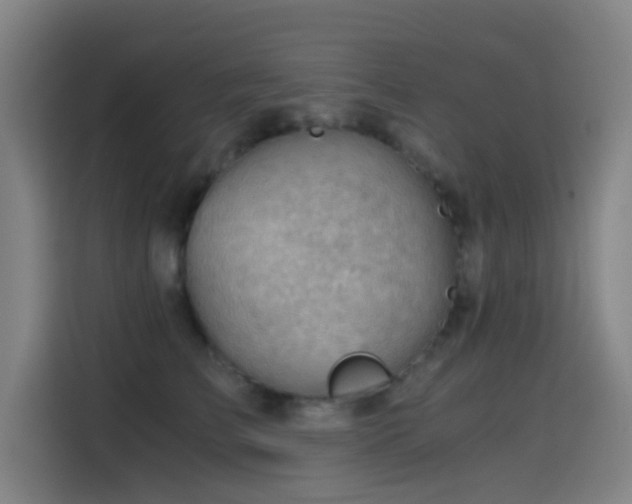 X0000114430709200910161335