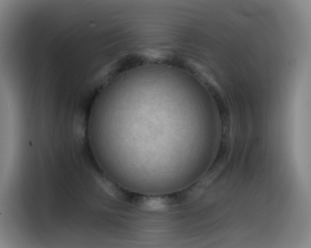 X0000114430710200910161335