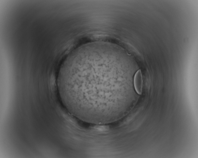X0000114430711200910161335
