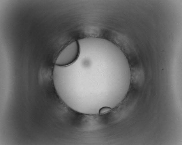 X0000114430713200910161335