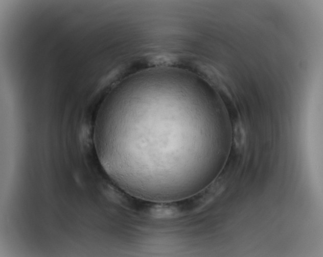X0000114430714200910161335