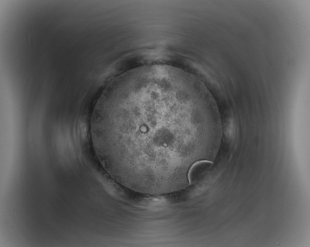 X0000114430715200910161335