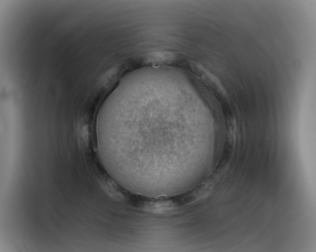 X0000114430716200910161335