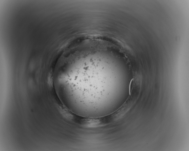 X0000114430719200910161335
