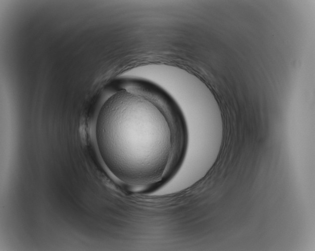 X0000114430720200910161335