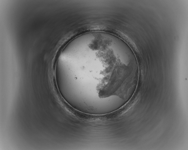 X0000114430721200910161334