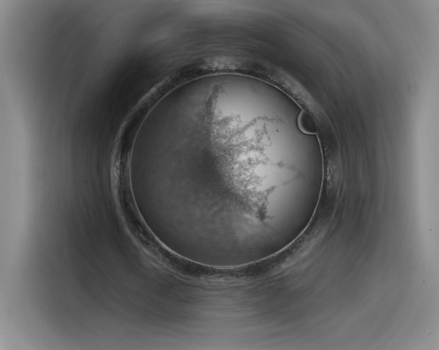 X0000114430722200910161334