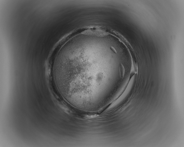 X0000114430723200910161334