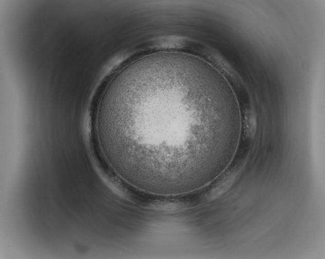 X0000114430726200910161334