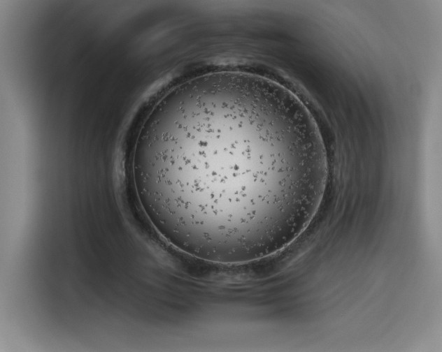 X0000114430727200910161334