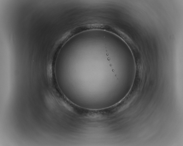 X0000114430729200910161334