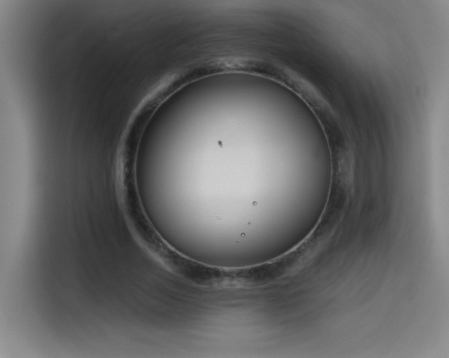 X0000114430730200910161334