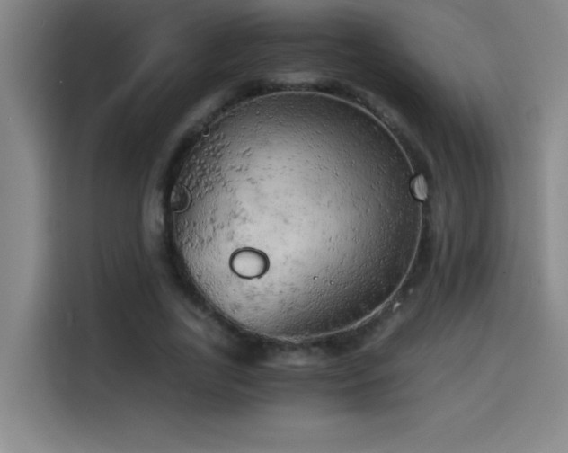 X0000114430731200910161334