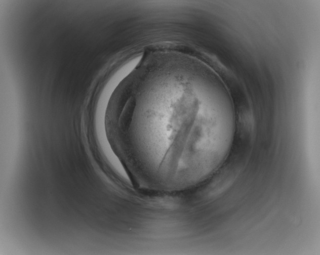 X0000114430734200910161334